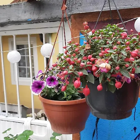 Two-bedroom House With Garden