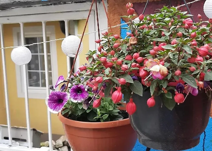 Two-bedroom House With Garden